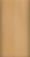 Volkswagen Inca Brown Metallic LE8Y/W1 Touch Up Paint swatch
