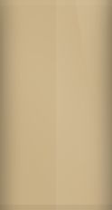 Buick Light Chestnut Metallic WA8566/61 Touch Up Paint swatch