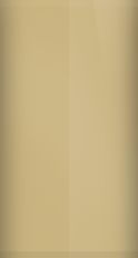 Plymouth Gold Poly AA-1 (1965) Touch Up Paint swatch