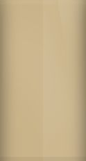 Ford Camel  4T1 Touch Up Paint swatch