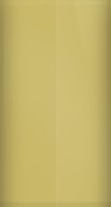Nissan Gold Pearl EJ0 Touch Up Paint swatch