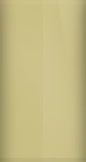 Buick Bamboo Cream WA4441/81 Touch Up Paint swatch