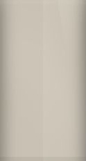 Ford Light Beige PO/XSC-1390A Touch Up Paint swatch