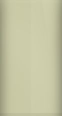 Volkswagen Timor Beige LH8T Touch Up Paint swatch