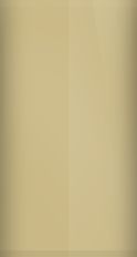 Mitsubishi Cheyenne Beige Metallic LC9 Touch Up Paint swatch