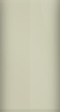 Bentley Porcelain Metallic 6517 Touch Up Paint swatch