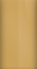 Mini Cooper Solid Gold Metallic 859 Touch Up Paint swatch