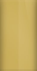 Oldsmobile Gold Metallic (Two-Tone) 56 (1978) Touch Up Paint swatch