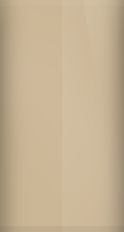 Hummer Tan (28326) T11 Touch Up Paint swatch