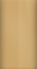 Buick Copper Mist Poly WA4144/65 Touch Up Paint swatch