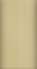 Porsche Casablance Beige Metallic L463 Touch Up Paint swatch