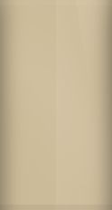 Volkswagen Sahara Metallic LA1Z/Y1 Touch Up Paint swatch