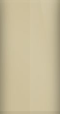 Honda Lamia Beige Metallic YR-48M Touch Up Paint swatch