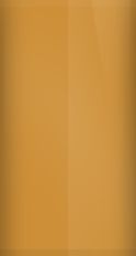 Dodge Sand Char Gold Pearl S84/PJ9 Touch Up Paint swatch