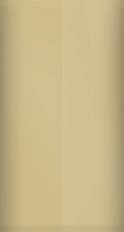 Nissan Tropic Tan 130 Touch Up Paint swatch