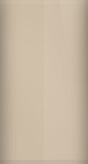 Dodge Chateau Beige Metallic S28 Touch Up Paint swatch