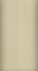 Nissan Beige Metallic 225 Touch Up Paint swatch