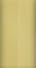 Buick Bamboo/Cameo Cream WA3313/Y/40 Touch Up Paint swatch