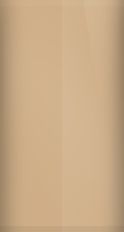 Daewoo Satin Beige Metallic 63U/WA233L Touch Up Paint swatch