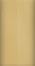 Nissan Desert Beige 131 Touch Up Paint swatch