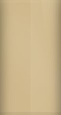 Ford Light Desert Tan 8Q/5934 Touch Up Paint swatch
