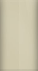 Chevrolet Beige WA4441/81 Touch Up Paint swatch