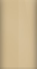 Oldsmobile Light Driftwood 63/WA8744 Touch Up Paint swatch