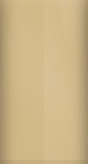Mercedes-Benz Cream DB-629 Touch Up Paint swatch