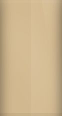 Subaru Grace Beige 570 Touch Up Paint swatch