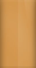 Buick Light Beechwood Metallic WA9278/57C Touch Up Paint swatch
