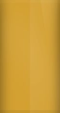 Suzuki Dark Aragon Gold Metallic Z1H Touch Up Paint swatch