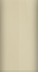 Nissan French Beige Metallic 29 Touch Up Paint swatch