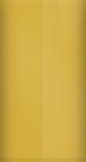 Dodge Tan  GT5 Touch Up Paint swatch