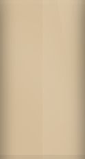 Buick Light Camel Metallic WA9747/67 Touch Up Paint swatch