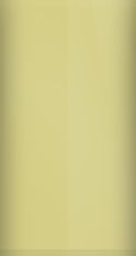 Buick Light Waxberry Metallic WA7202/36 Touch Up Paint swatch