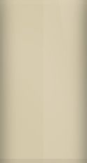 Chrysler Champagne Pearl TE/VTE/PTE Touch Up Paint swatch