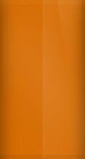 Suzuki Metallic Fox Orange SUZ016 Touch Up Paint swatch
