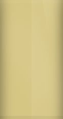 Volkswagen Dakota Beige L13A/D5 Touch Up Paint swatch