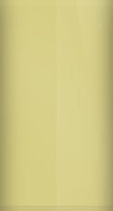 Volkswagen Ceylon Beige L13H Touch Up Paint swatch