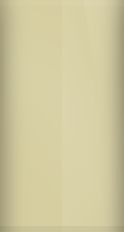 Kawasaki Pearl Luster Beige KAW033 Touch Up Paint swatch
