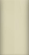 Chrysler Caffe Latte Metallic S23/PLD Touch Up Paint swatch