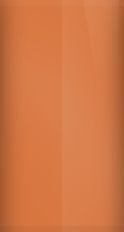 Chevrolet Medium Orange Metallic WA4638/64 Touch Up Paint swatch