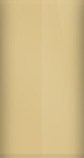 Volkswagen Nevada Beige LA1N/B6 Touch Up Paint swatch