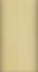 Ford N. Sahara Gold Metallic BE Touch Up Paint swatch