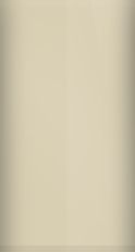 Toyota Beige Pearl Metallic 4Q2 Touch Up Paint swatch