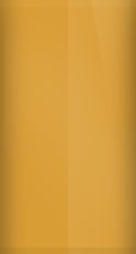 Chevrolet Wheatland Yellow WA253A/86U/9W3/86 Touch Up Paint swatch