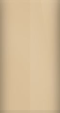 BMW Safari Beige 147 Touch Up Paint swatch