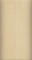 Chrysler Designer's Beige SR5 (1981) Touch Up Paint swatch