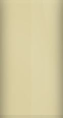 Nissan Coral Sand Metallic C12 Touch Up Paint swatch
