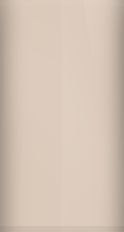 Lincoln Light Sandlewood Metallic 8H/6010 Touch Up Paint swatch